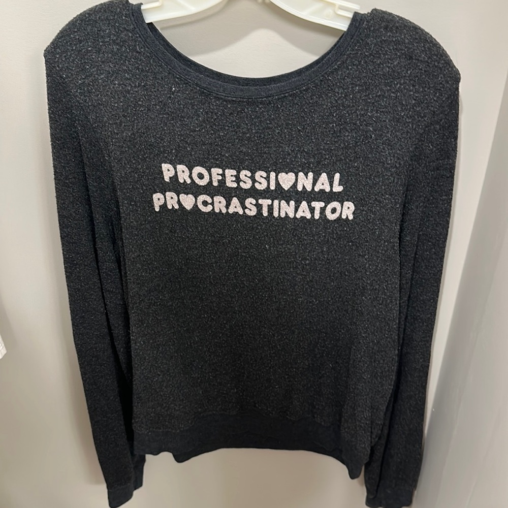 Wildfox Professional Procrastinator sweatshirt size L